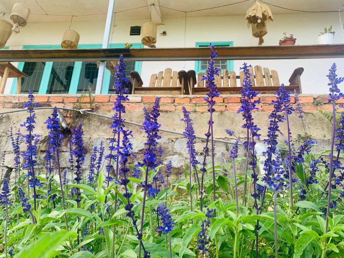 Tháng Năm Rực Rỡ - Dalat Homestay Ngoại thất bức ảnh