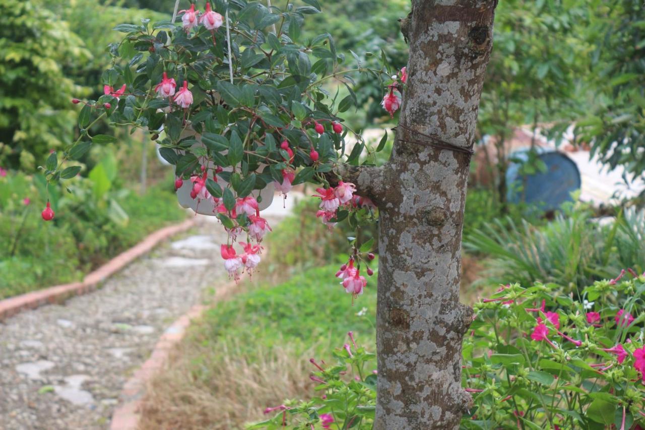 Tháng Năm Rực Rỡ - Dalat Homestay Ngoại thất bức ảnh