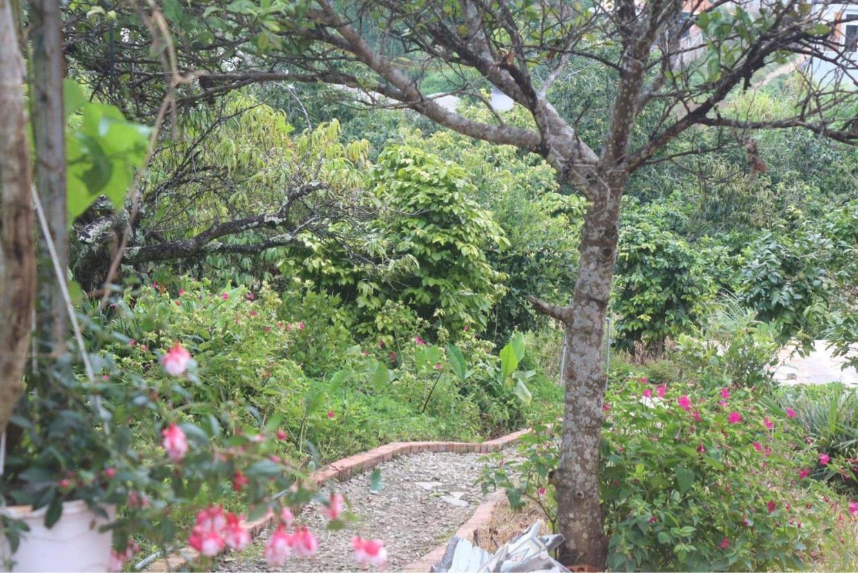 Tháng Năm Rực Rỡ - Dalat Homestay Ngoại thất bức ảnh